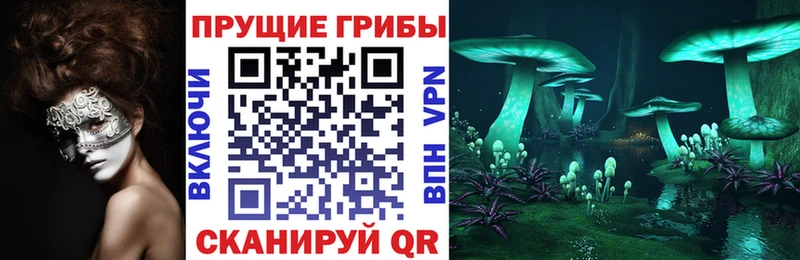 Галлюциногенные грибы прущие грибы Сольвычегодск